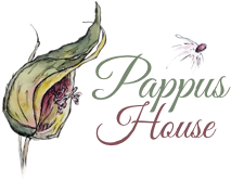 Pappus House