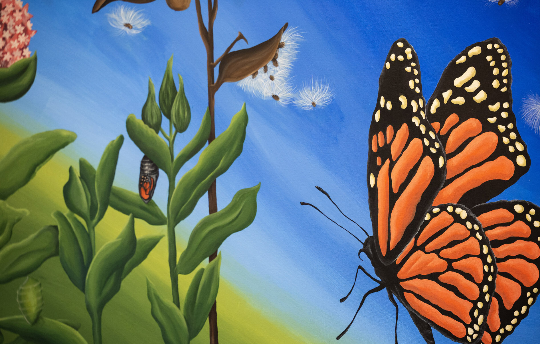 A picture of the mural with a butterfly and the Pappus flower and branch.