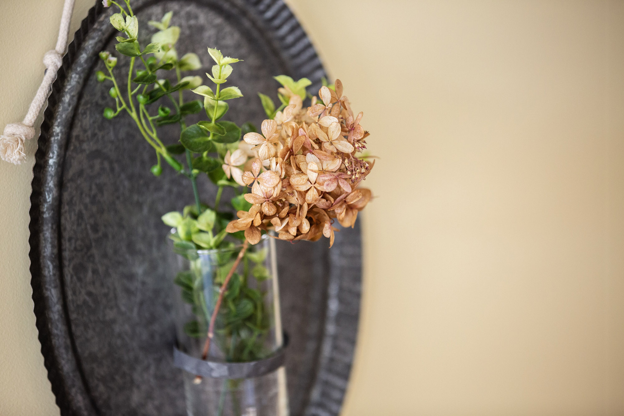 A flower in a vase.