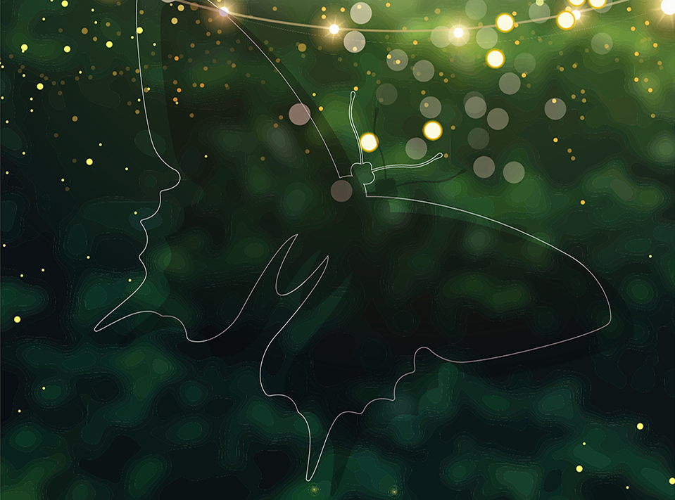 dark green background with a line drawn butterfly