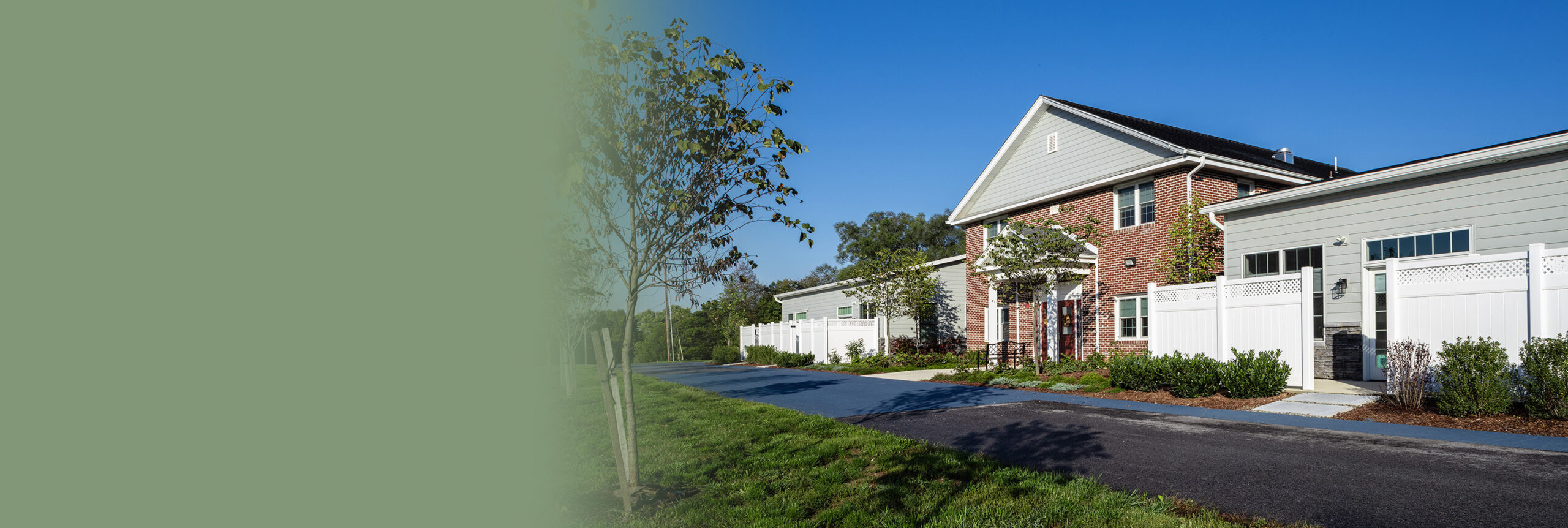 Half the image is the front side view of Pappus House and the other half is a blended green color.