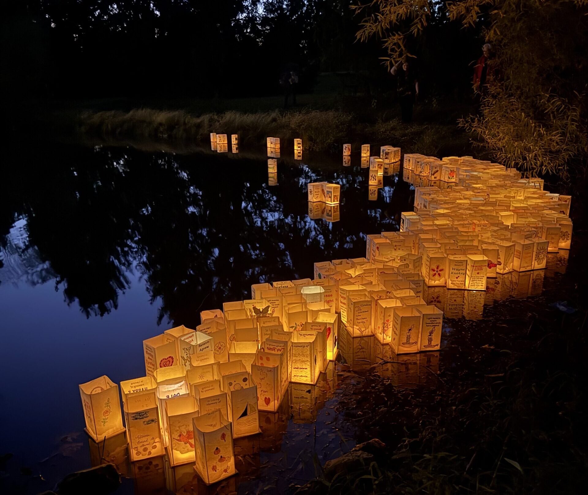 A view across a small lake at dusk with lit up paper lanterns floating across the lake.